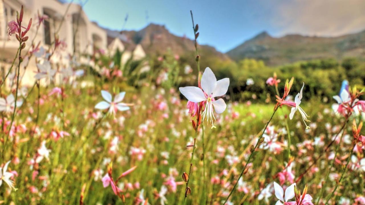 Hotel Thelab Cape Town Hout Bay Exteriér fotografie